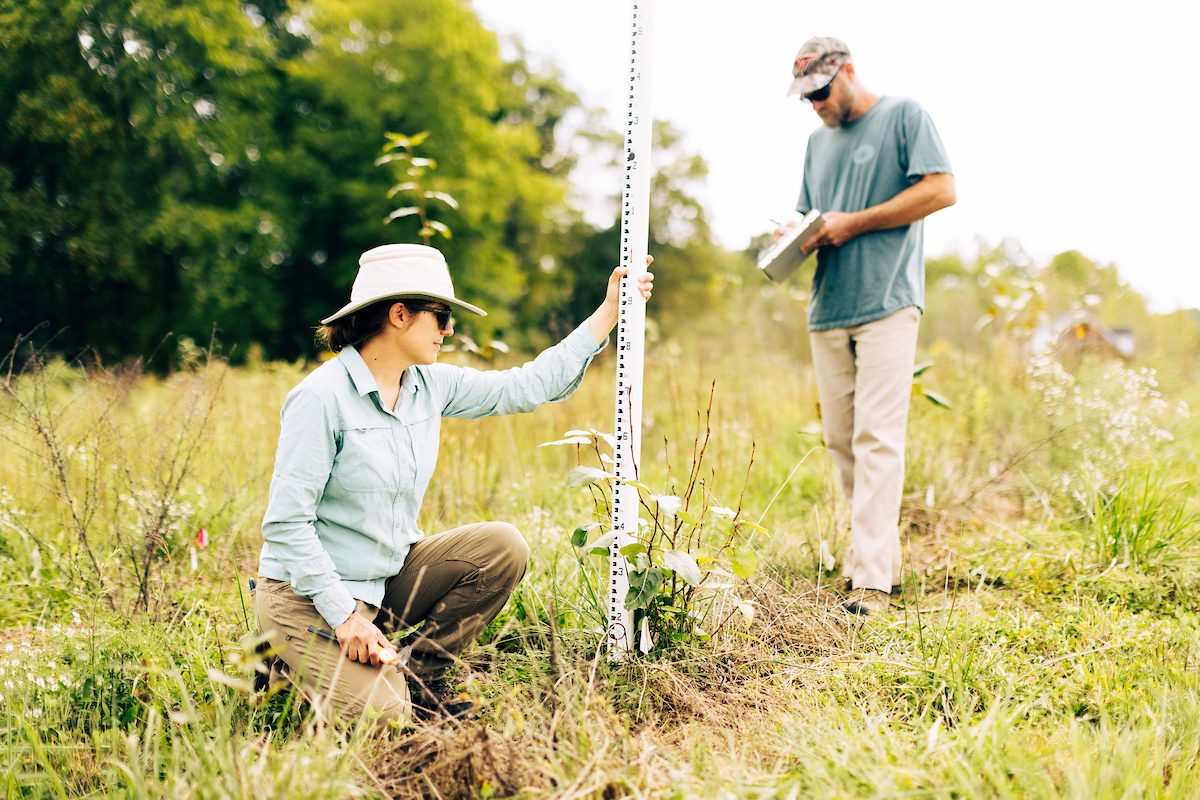 students in field measuring plant